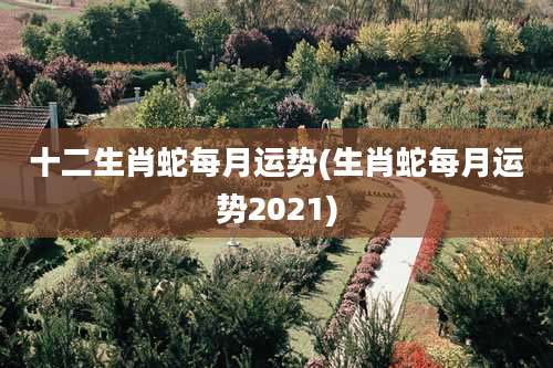 十二生肖蛇每月运势(生肖蛇每月运势2021)