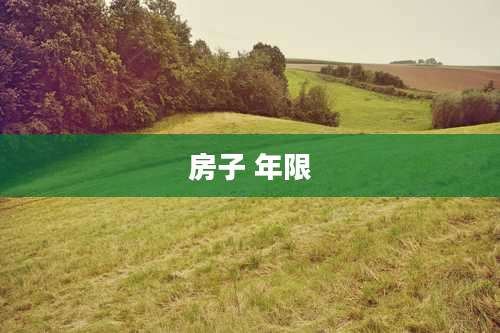 房子 年限