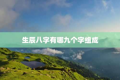 生辰八字有哪九个字组成