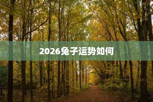 2026兔子运势如何