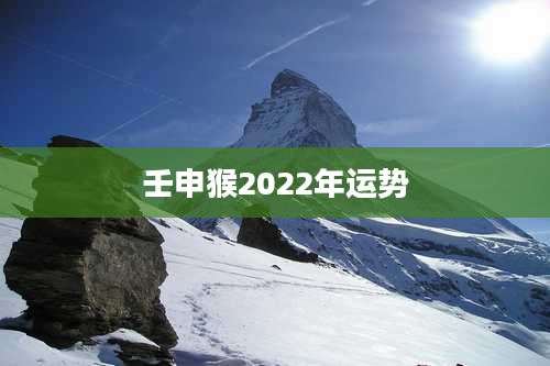 壬申猴2022年运势