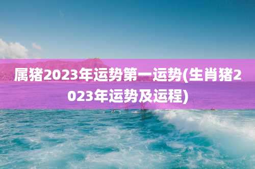 属猪2023年运势第一运势(生肖猪2023年运势及运程)