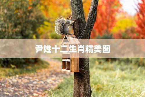 尹姓十二生肖精美图