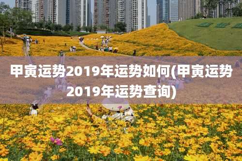 甲寅运势2019年运势如何(甲寅运势2019年运势查询)