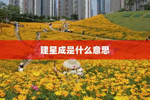 建星成是什么意思