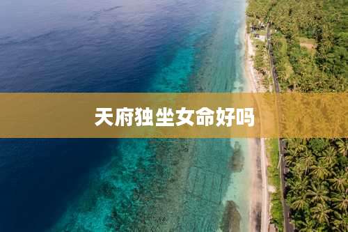天府独坐女命好吗