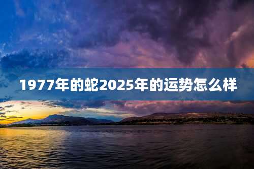 1977年的蛇2025年的运势怎么样