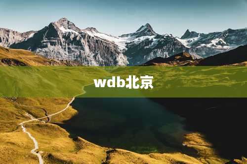 wdb北京