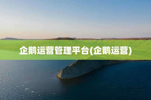 企鹅运营管理平台(企鹅运营)