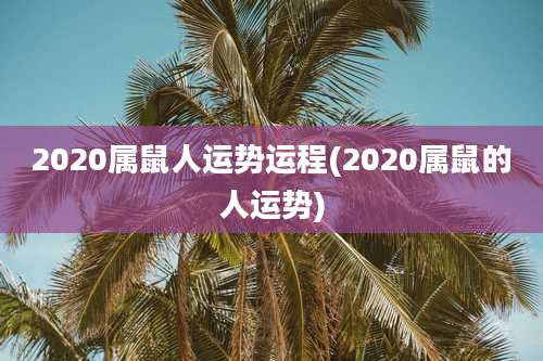 2020属鼠人运势运程(2020属鼠的人运势)