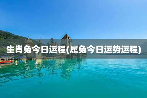生肖兔今日运程(属兔今日运势运程)