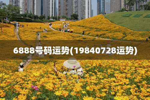 6888号码运势(19840728运势)