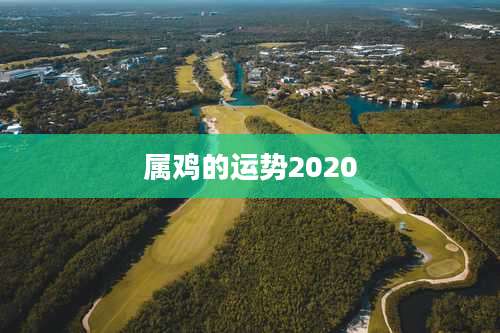 属鸡的运势2020
