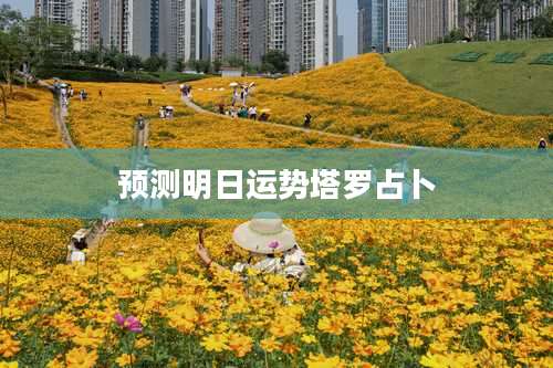 预测明日运势塔罗占卜