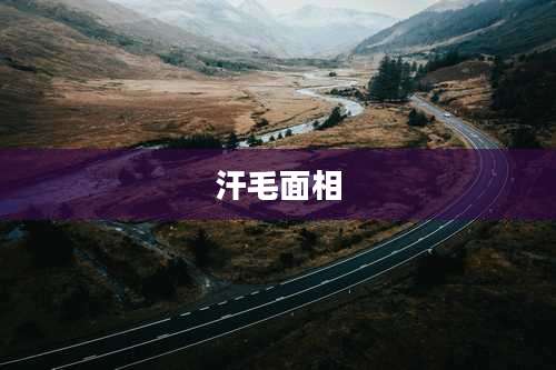 汗毛面相