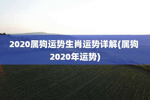 2020属狗运势生肖运势详解(属狗 2020年运势)