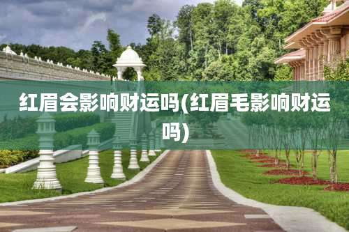 红眉会影响财运吗(红眉毛影响财运吗)