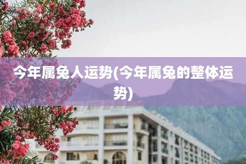 今年属兔人运势(今年属兔的整体运势)