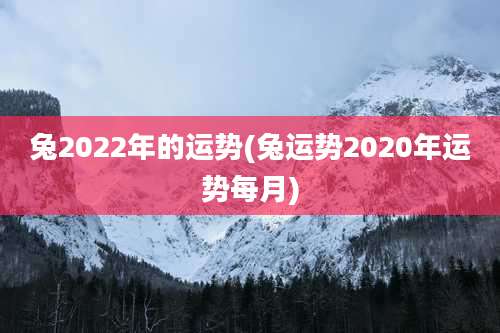 兔2022年的运势(兔运势2020年运势每月)