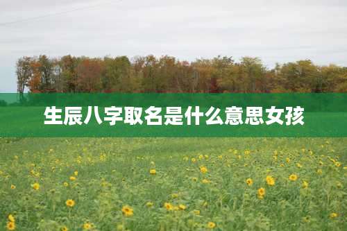 生辰八字取名是什么意思女孩