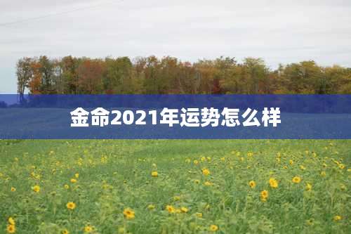 金命2021年运势怎么样
