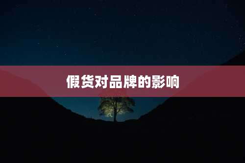 假货对品牌的影响