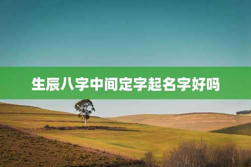 生辰八字中间定字起名字好吗