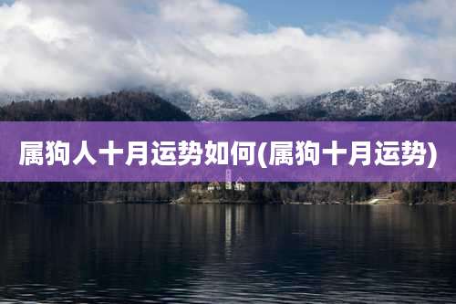 属狗人十月运势如何(属狗十月运势)