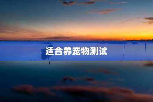 适合养宠物测试