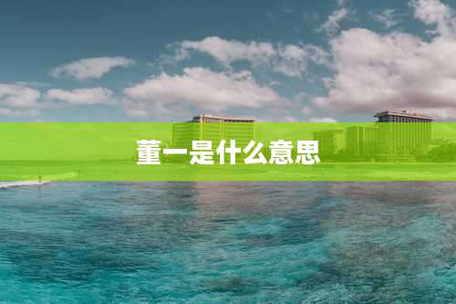 董一是什么意思