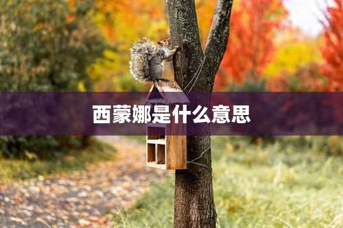 西蒙娜是什么意思