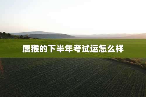 属猴的下半年考试运怎么样
