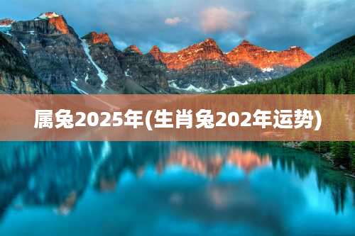 属兔2025年(生肖兔202年运势)
