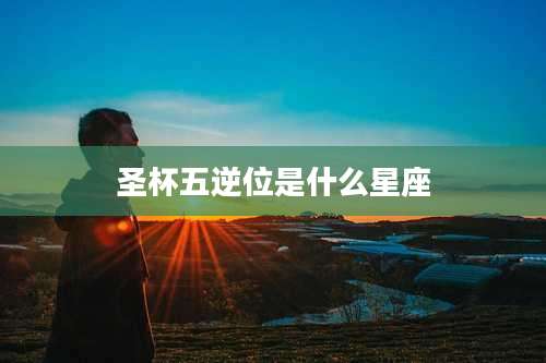 圣杯五逆位是什么星座