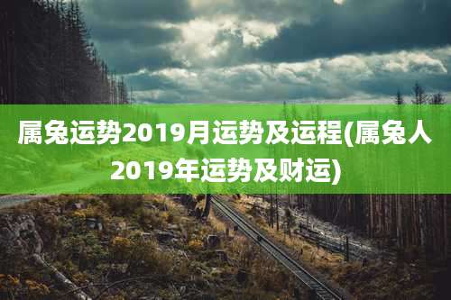 属兔运势2019月运势及运程(属兔人2019年运势及财运)