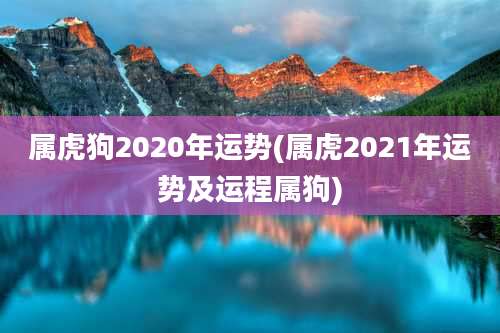 属虎狗2020年运势(属虎2021年运势及运程属狗)