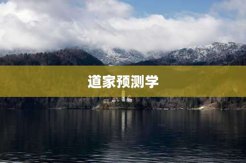 道家预测学