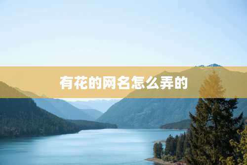 有花的网名怎么弄的