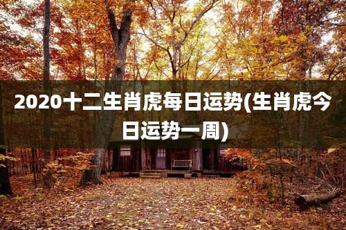 2020十二生肖虎每日运势(生肖虎今日运势一周)