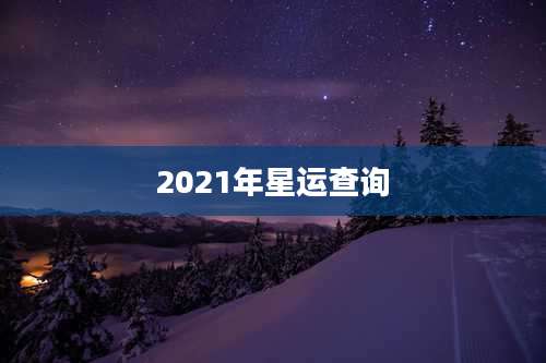 2021年星运查询
