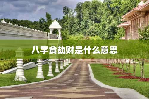 八字食劫财是什么意思