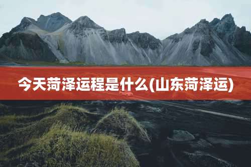 今天菏泽运程是什么(山东菏泽运)