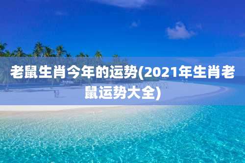老鼠生肖今年的运势(2021年生肖老鼠运势大全)