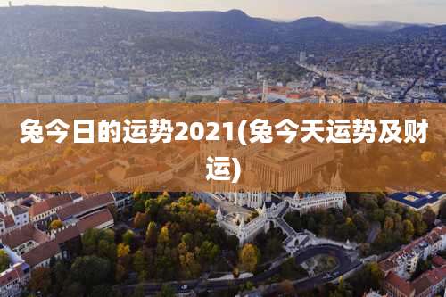 兔今日的运势2021(兔今天运势及财运)