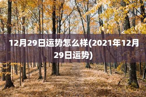 12月29日运势怎么样(2021年12月29日运势)