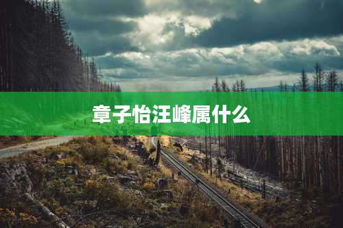 章子怡汪峰属什么