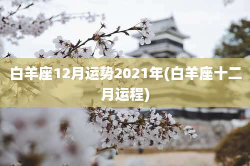 白羊座12月运势2021年(白羊座十二月运程)