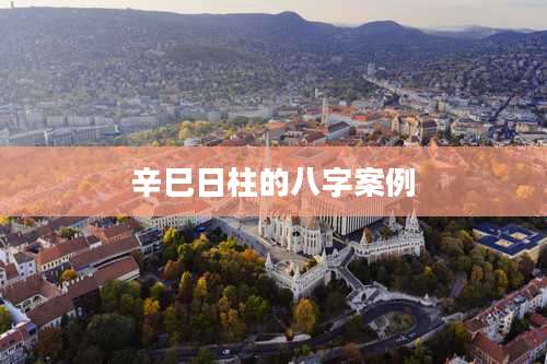 辛巳日柱的八字案例