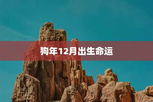狗年12月出生命运