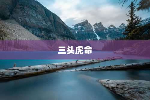三头虎命